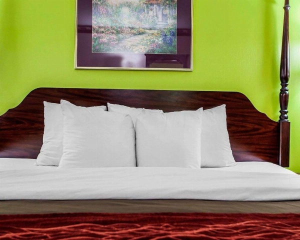 Quality Inn Arcola image 6